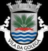 Wappen von Golegã
