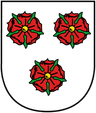 Coat of arms of Brandis