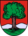 Wappen von Wałbrzych
