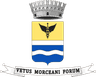 Coat of arms of Morciano di Romagna