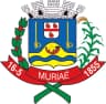Coat of arms of Muriaé