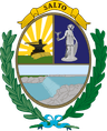 Wappen von Departamento Salto