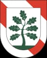 Coat of arms of Callenberg