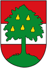 Coat of arms of Dornbirn