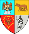 Wappen von Kreis Bistrița-Năsăud