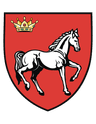 Wappen von Kreis Iași