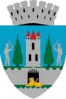 Coat of arms of Satu Mare