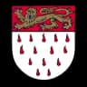 Coat of arms of Chichester