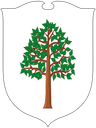 Coat of arms of Ixelles