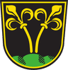 Coat of arms of Traunstein