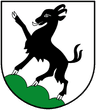 Wappen von Kitzbühel