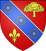 Wappen von Choisel