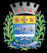 Coat of arms of Barueri