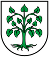 Wappen von Schutterwald