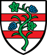 Coat of arms of Bad Hönningen