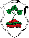Wappen von Rotenburg an der Fulda