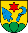 Wappen von Ins