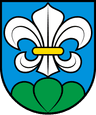 Wappen von Lyss