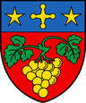 Wappen von Vétroz