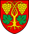 Coat of arms of Raron