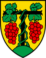 Coat of arms of Tartegnin