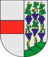 Coat of arms of Połczyn-Zdrój