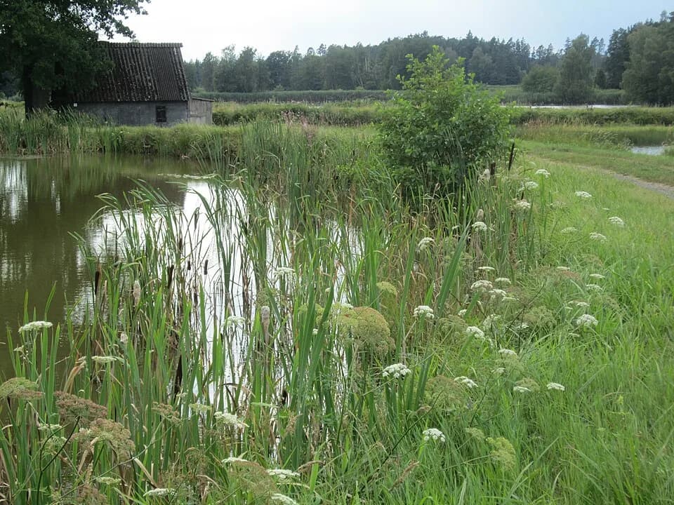 Tirschenreuth