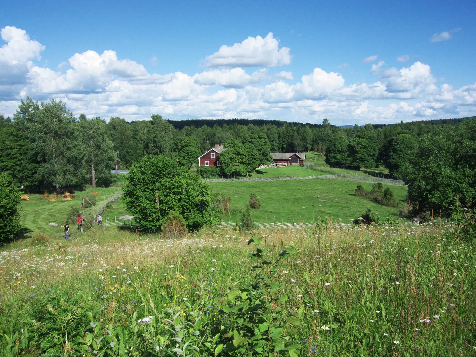 Värmland County
