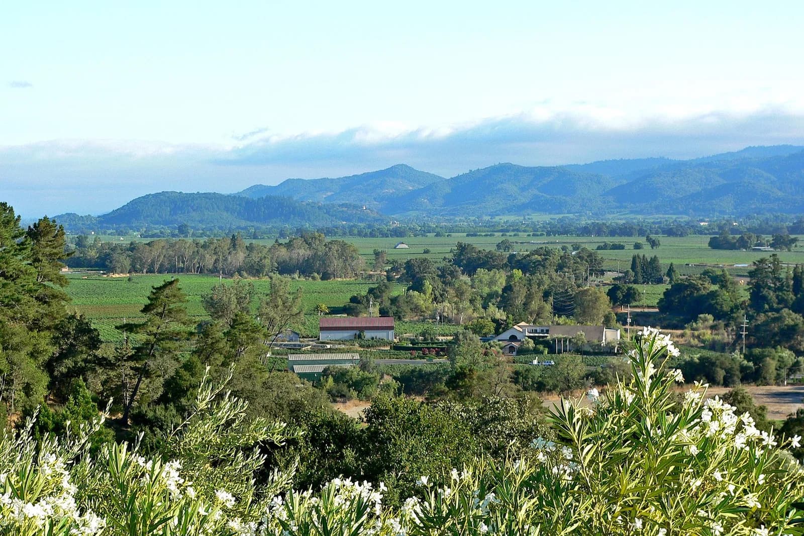 Napa County
