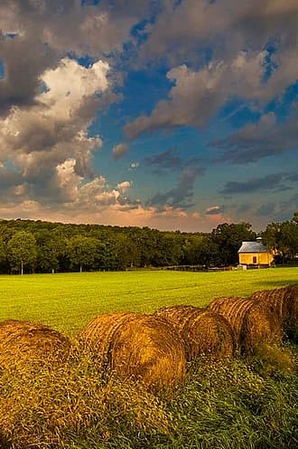 Douglas County