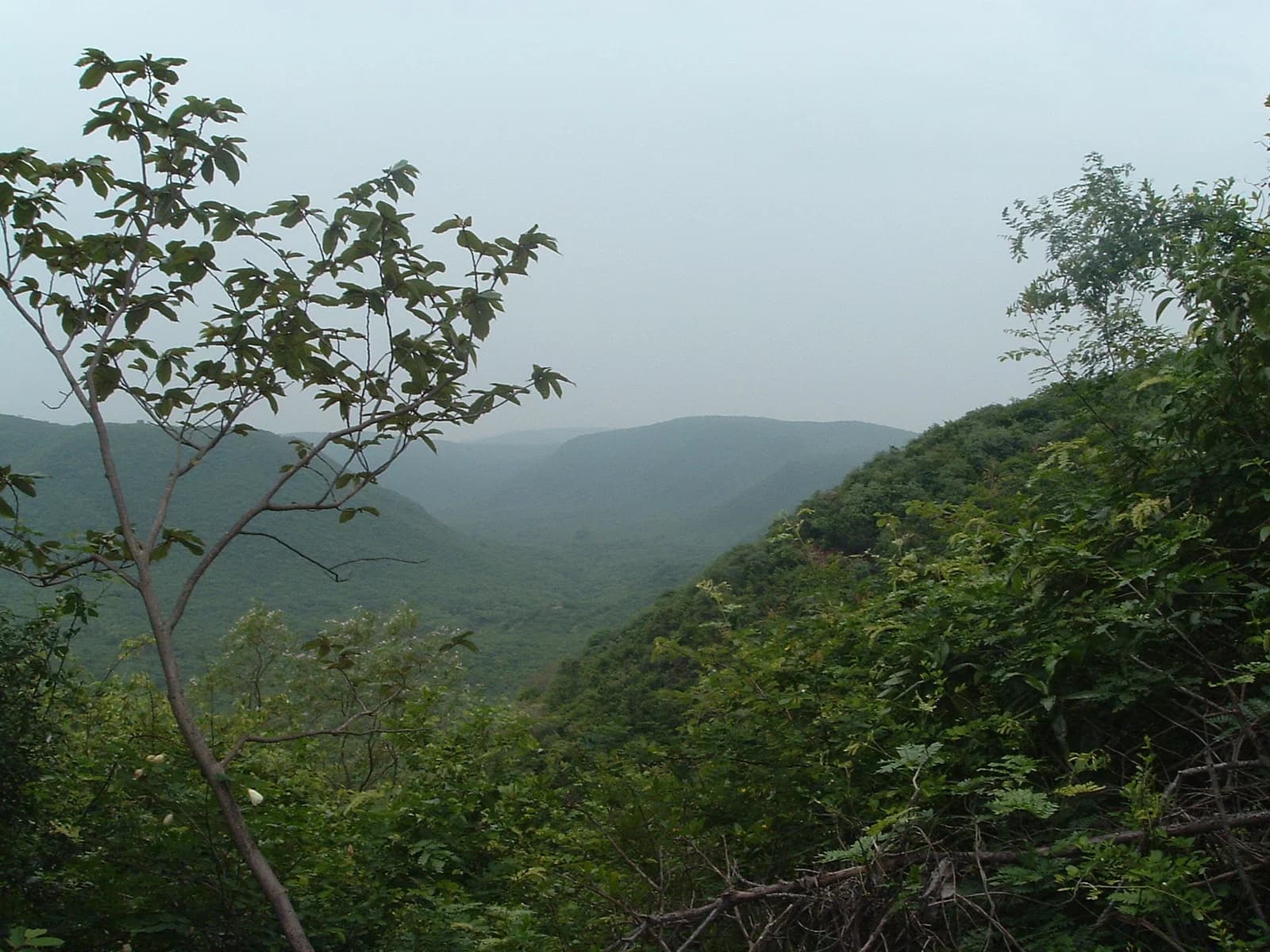 Andhra Pradesh
