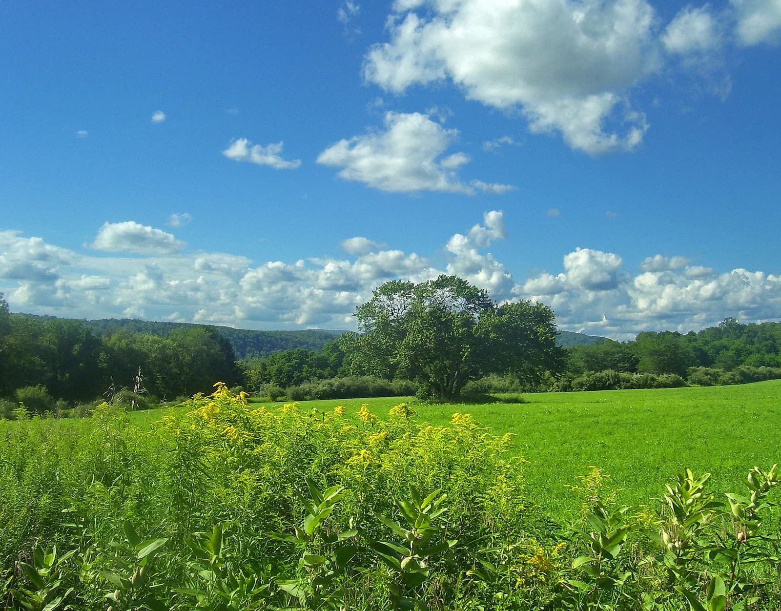 Pawling