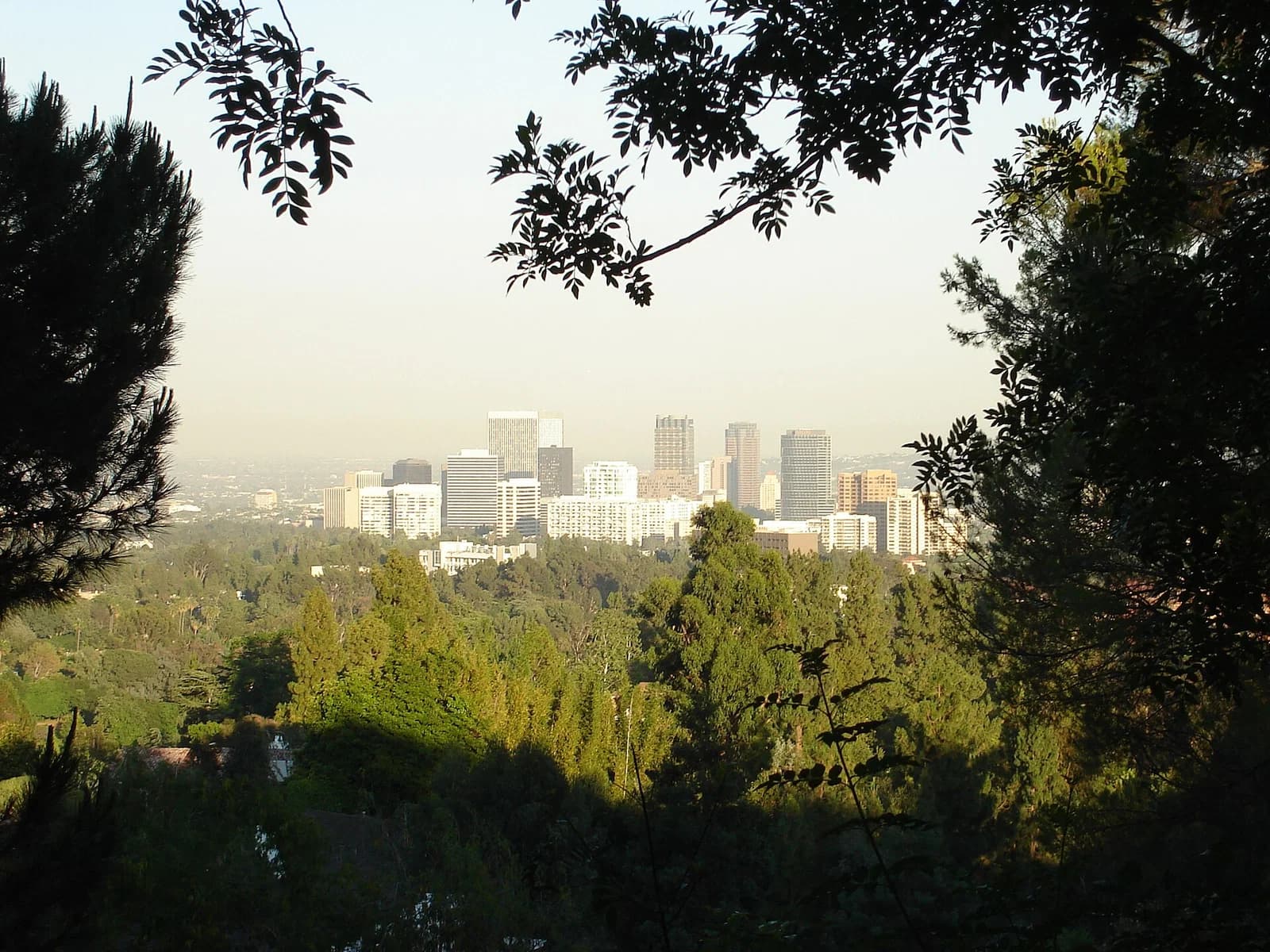 Westwood