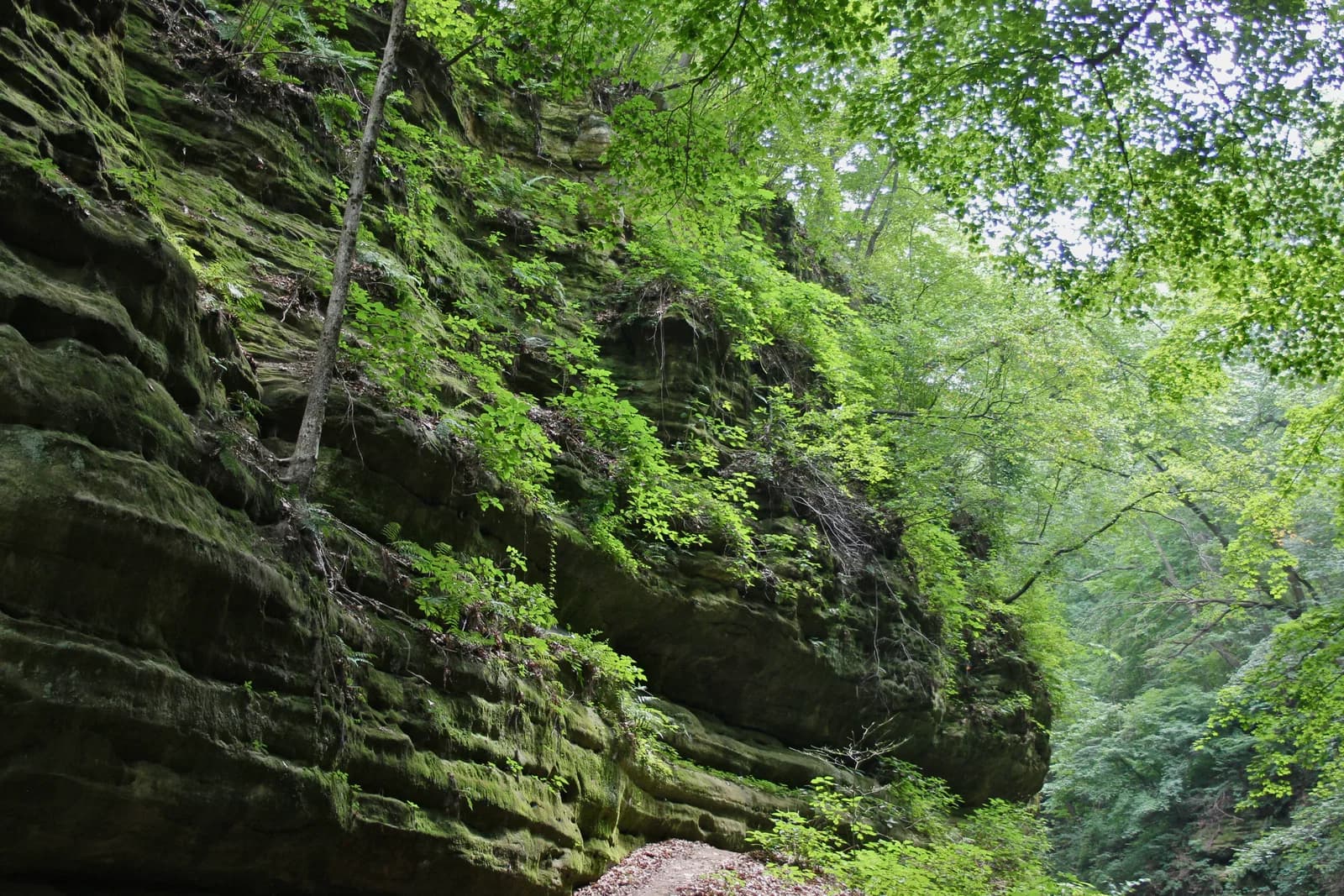 Illinois