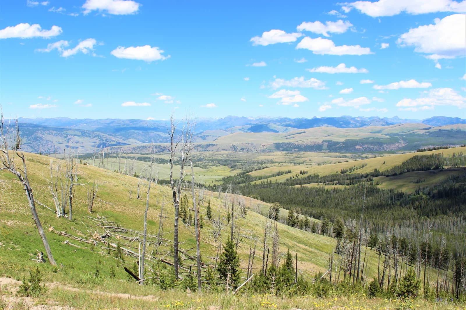 Wyoming