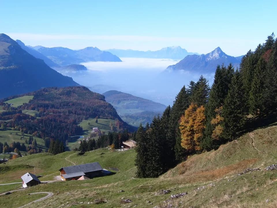 Schwyz