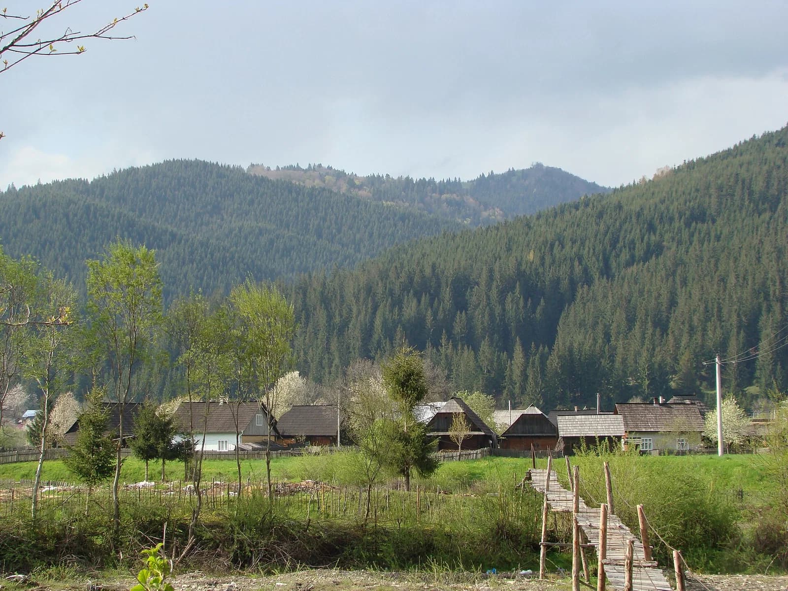 Straja
