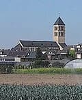 Hamm