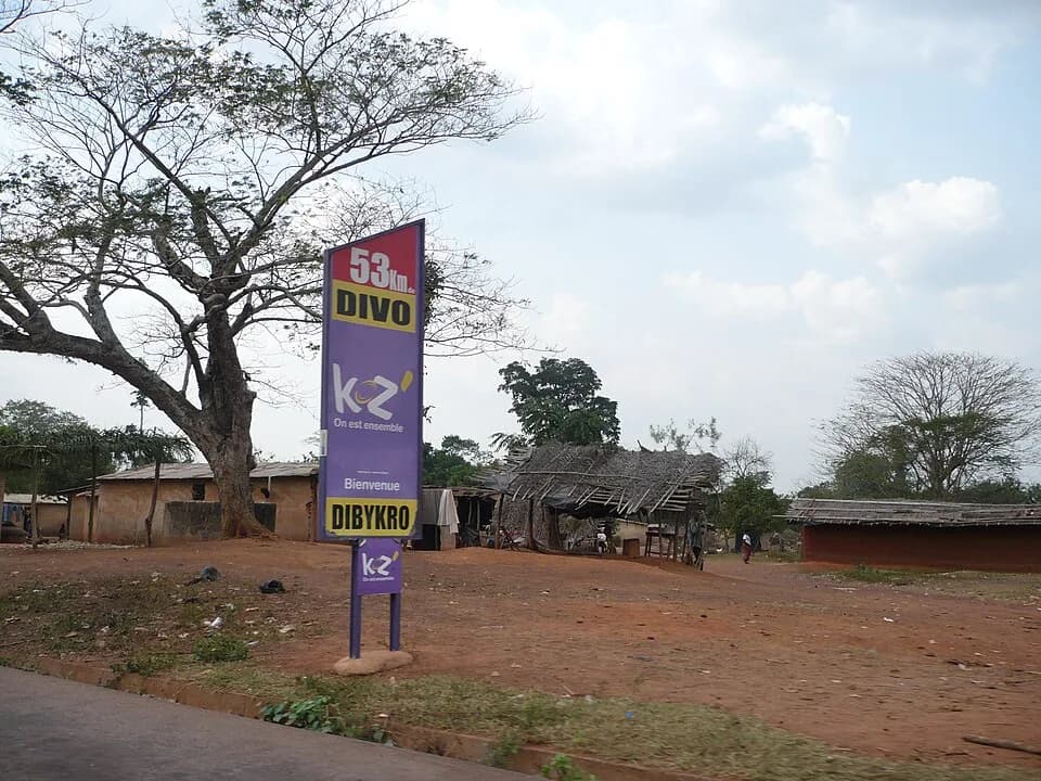 Divo