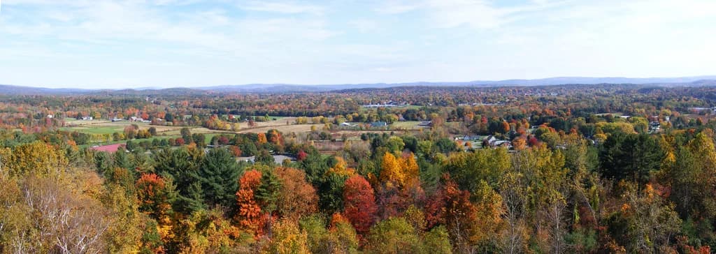 Greenfield