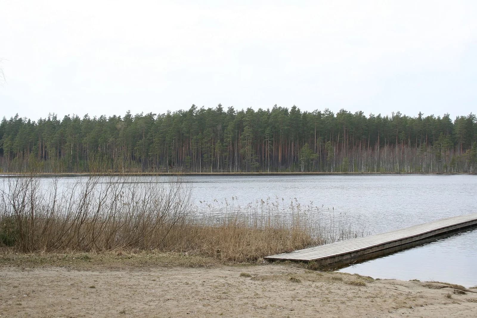 Kõlleste