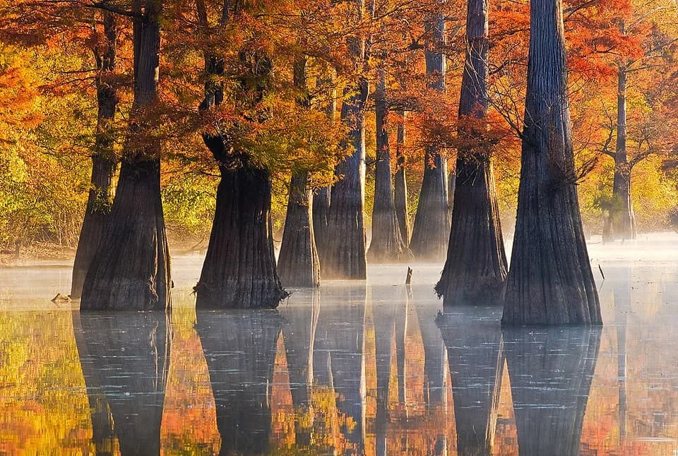 Arkansas