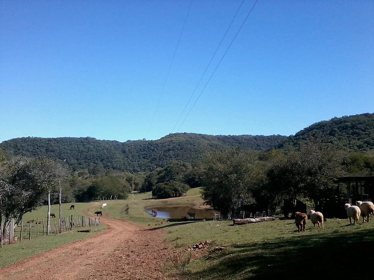 São Francisco de Assis
