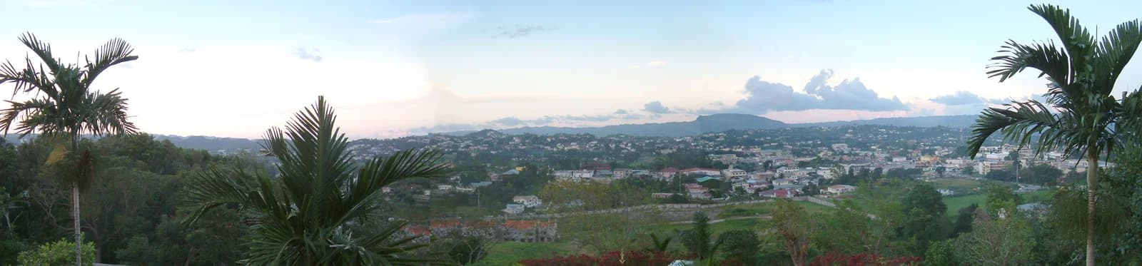 Mandeville