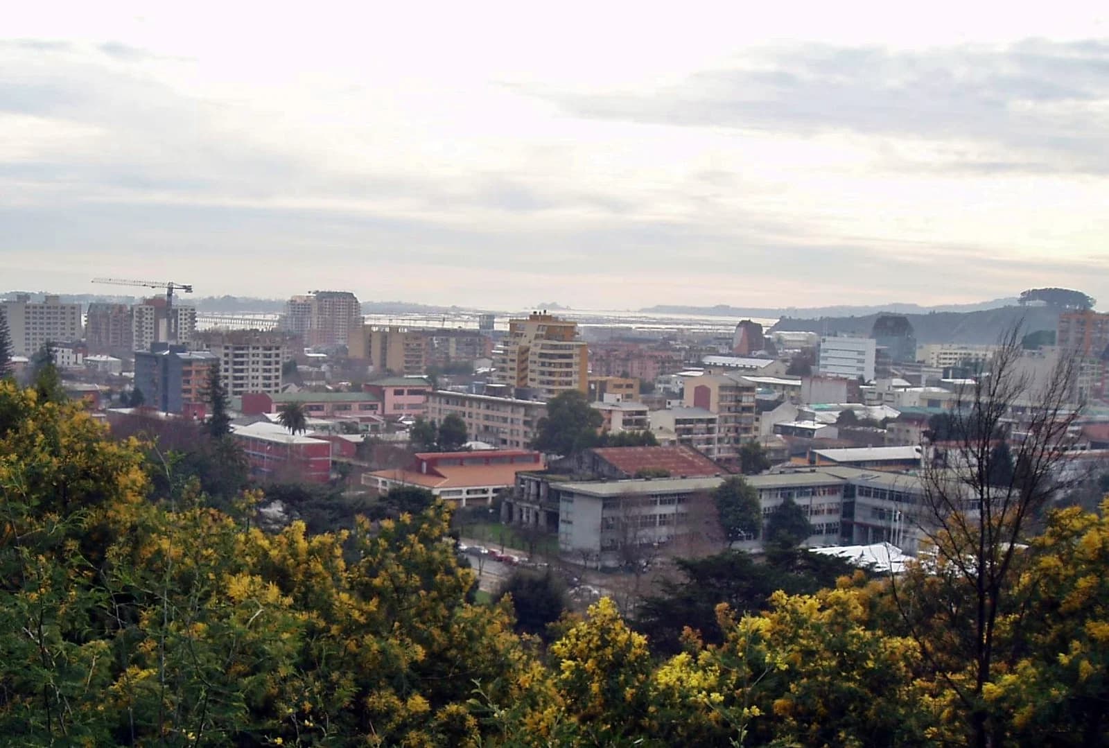 Concepción