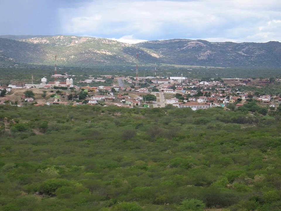 Acari