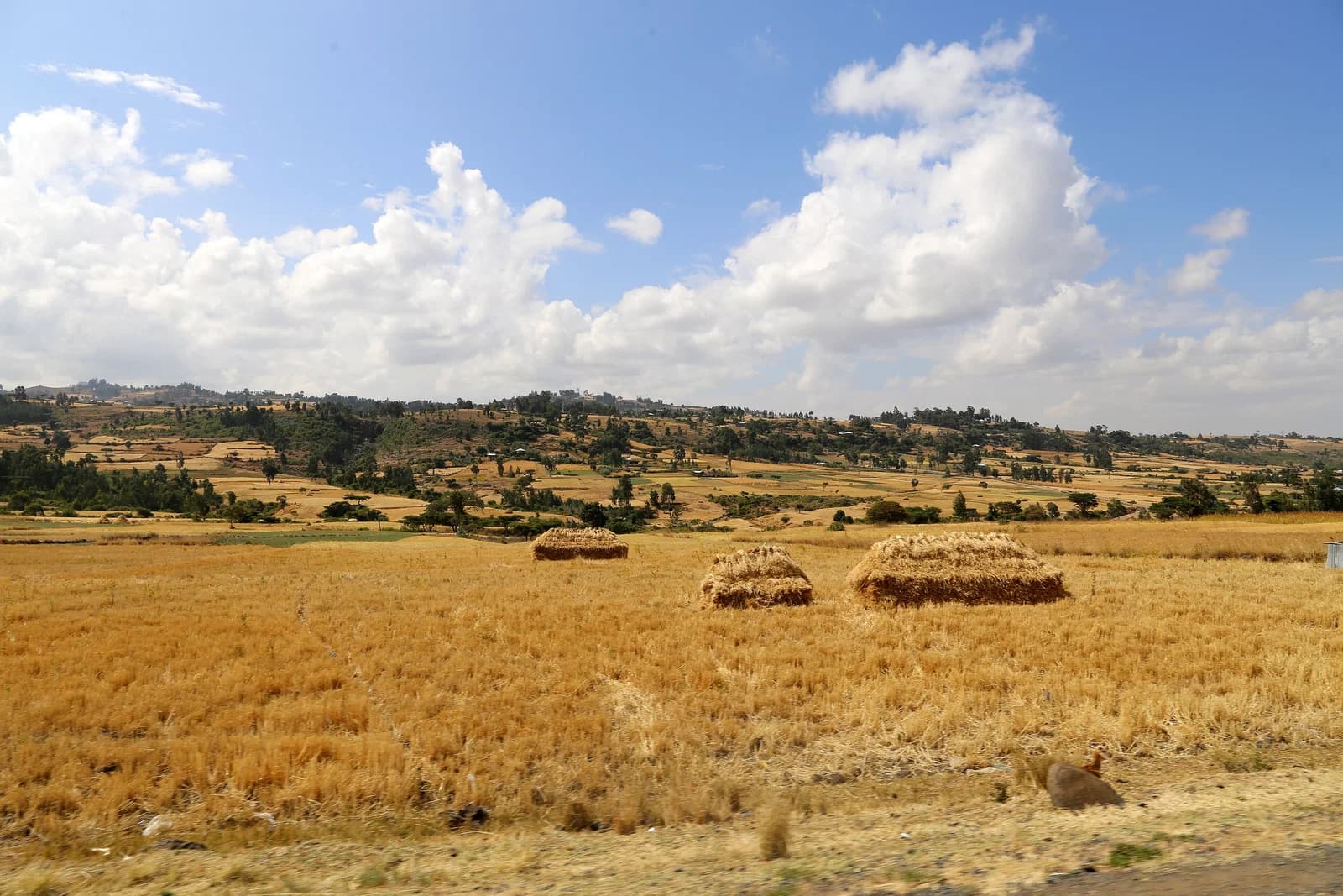 Oromia Region