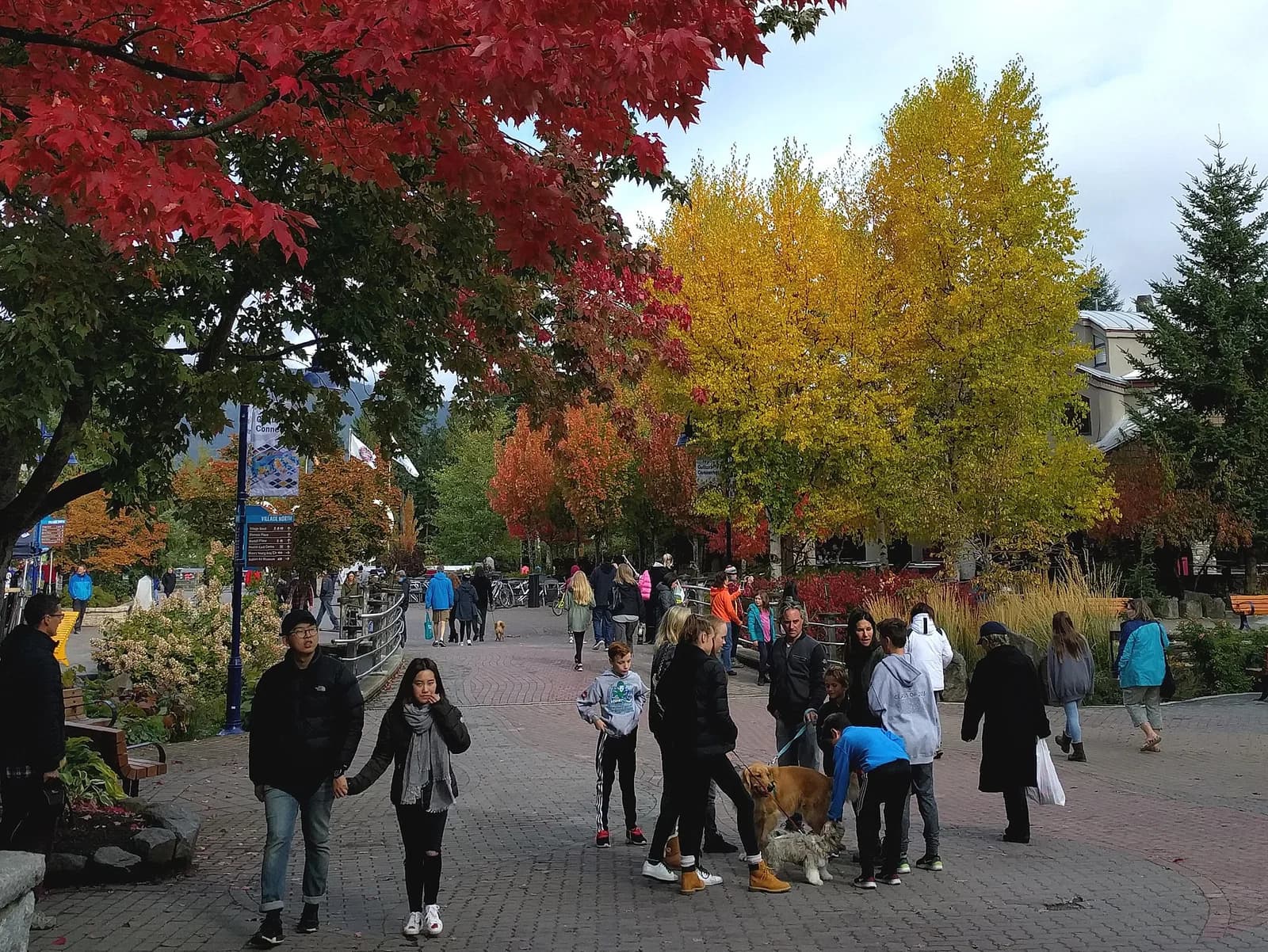 Whistler