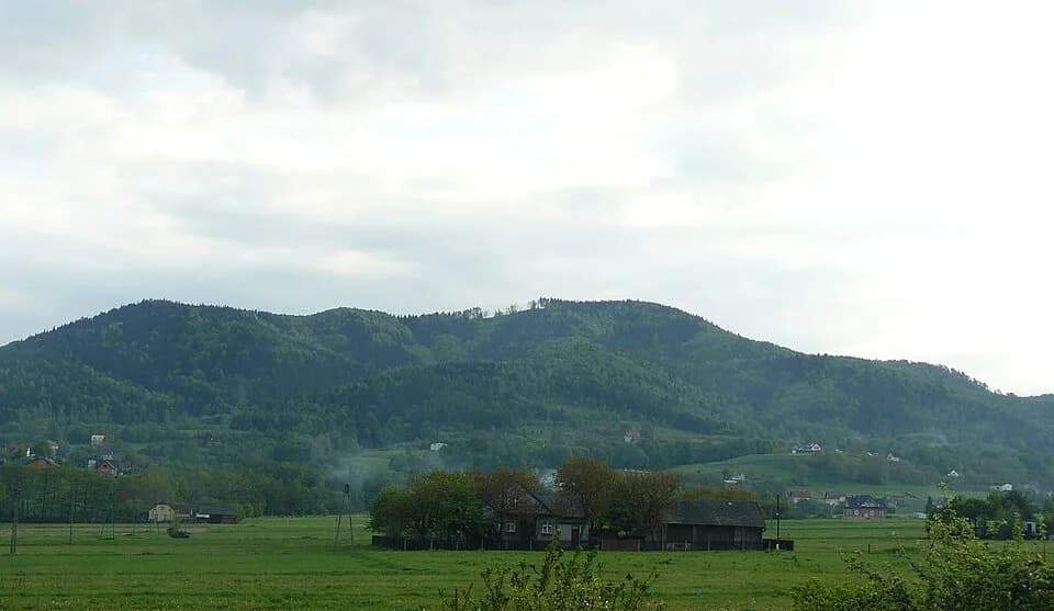 Roczyny