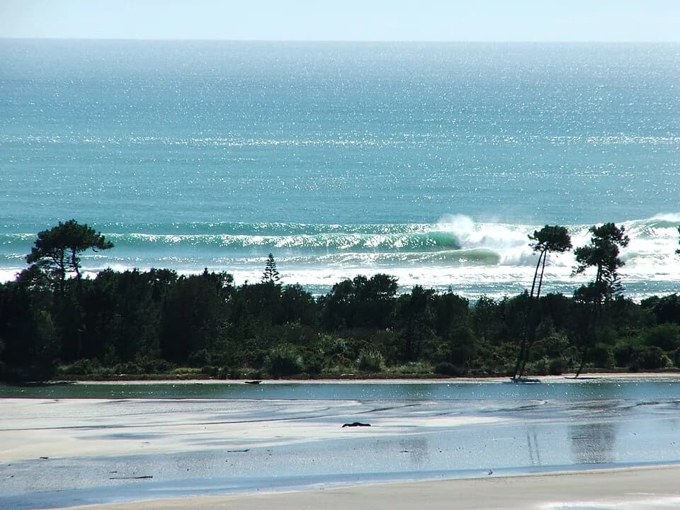 Bay of Plenty